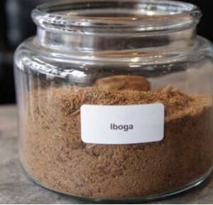IBOGA (Ibogaine) Powder