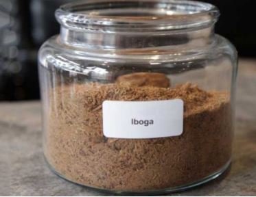 IBOGA (Ibogaine) Powder